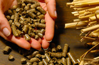 free Legoniel biomass boiler quotes